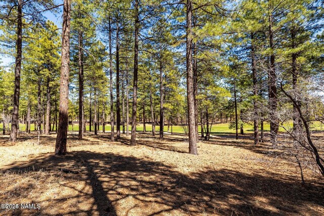 4160 Lariat Loop, Flagstaff, AZ 86005