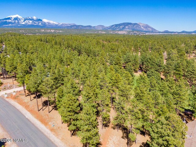 4160 Lariat Loop, Flagstaff, AZ 86005