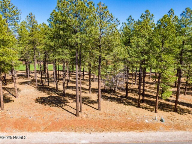 4160 Lariat Loop, Flagstaff, AZ 86005