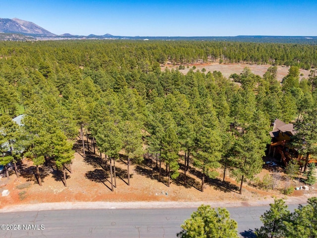 4160 Lariat Loop, Flagstaff, AZ 86005