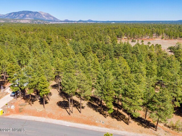 4160 Lariat Loop, Flagstaff, AZ 86005