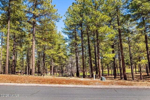 4160 Lariat Loop, Flagstaff, AZ 86005