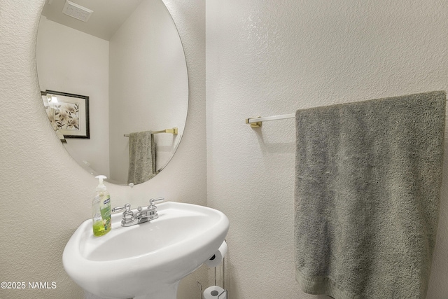 2545 N Broken Circle Rd, Flagstaff, AZ 86004 - bathroom featuring a sink and a textured wall