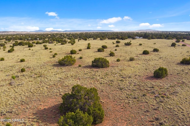 3715 S Noble Dr, Williams, AZ 86046 - photo 5