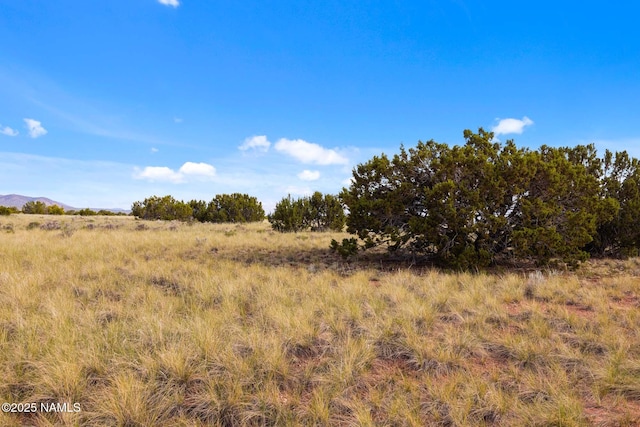 3715 S Noble Dr, Williams, AZ 86046 - photo 14