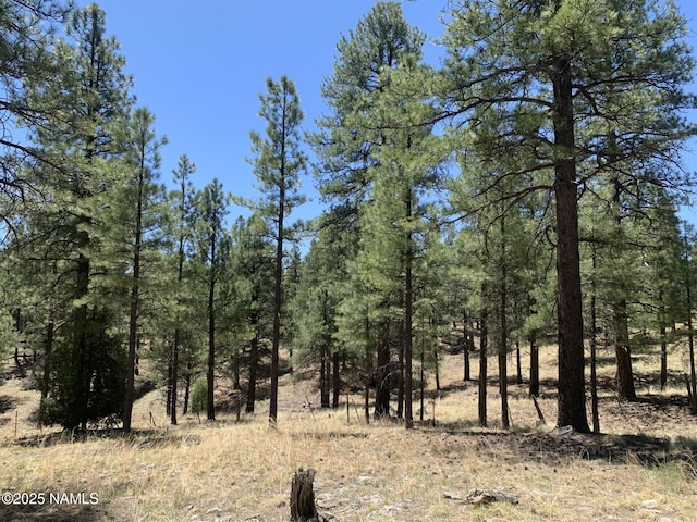 2343 E Del Rae Dr, Flagstaff, AZ 86005 - photo 5