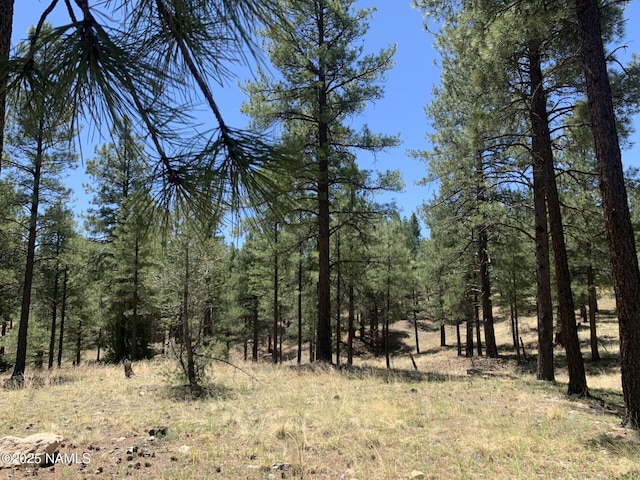 2343 E Del Rae Dr, Flagstaff, AZ 86005 - photo 4