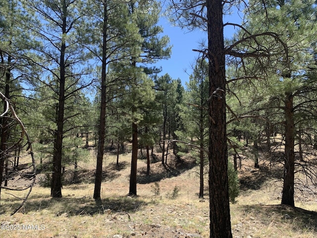 2343 E Del Rae Dr, Flagstaff, AZ 86005 - photo 7