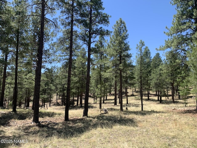 2343 E Del Rae Dr, Flagstaff, AZ 86005 - photo 1