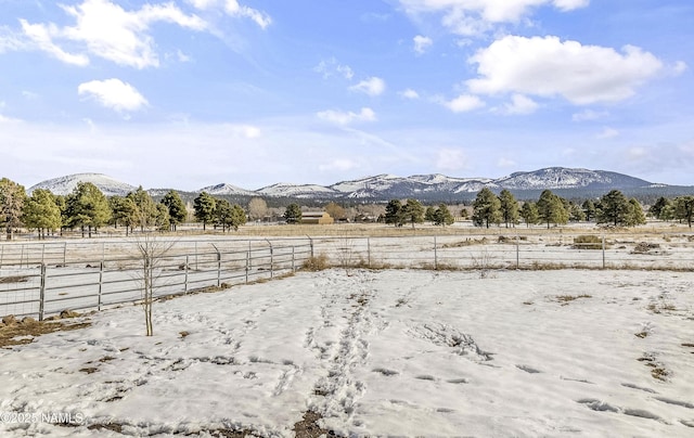 view of yard featuring a rural view and a mountain view