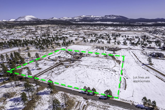 birds eye view of property with a mountain view