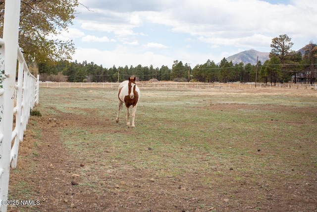 12195 N Copeland Ln, Flagstaff, AZ 86004 - view of yard featuring fence, a mountain view, and a rural view