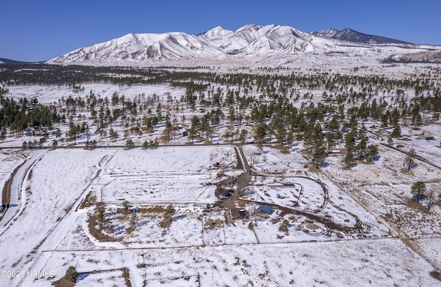 view of mountain feature