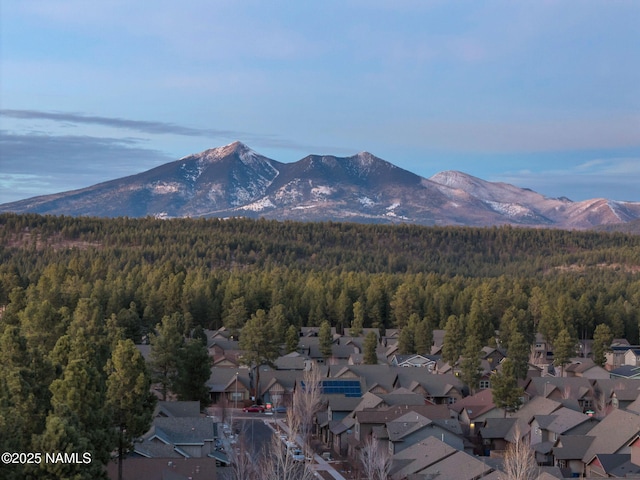 property view of mountains with a residential view