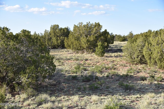 3391 E Indian Meadows Rd Unit 44, Williams, AZ 86046 - photo 8