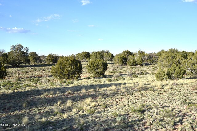 3391 E Indian Meadows Rd Unit 44, Williams, AZ 86046 - photo 14