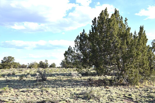 3391 E Indian Meadows Rd Unit 44, Williams, AZ 86046 - photo 10