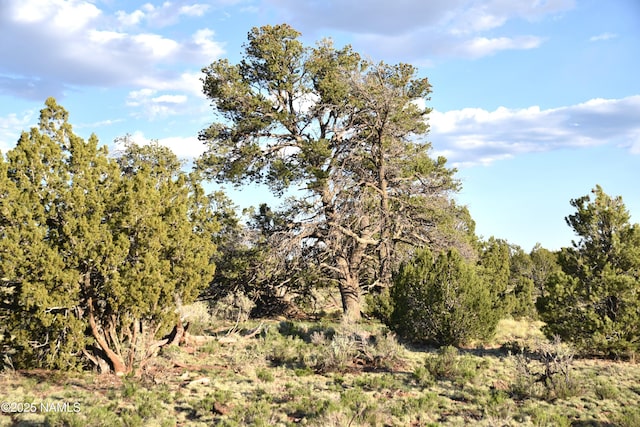 3391 E Indian Meadows Rd Unit 44, Williams, AZ 86046 - photo 1