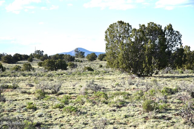 3391 E Indian Meadows Rd Unit 44, Williams, AZ 86046 - photo 9