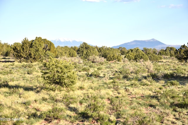 3391 E Indian Meadows Rd Unit 44, Williams, AZ 86046 - photo 17