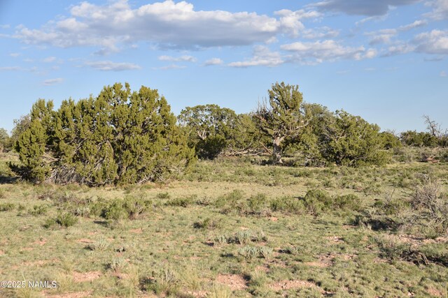 3391 E Indian Meadows Rd Unit 44, Williams, AZ 86046 - photo 12