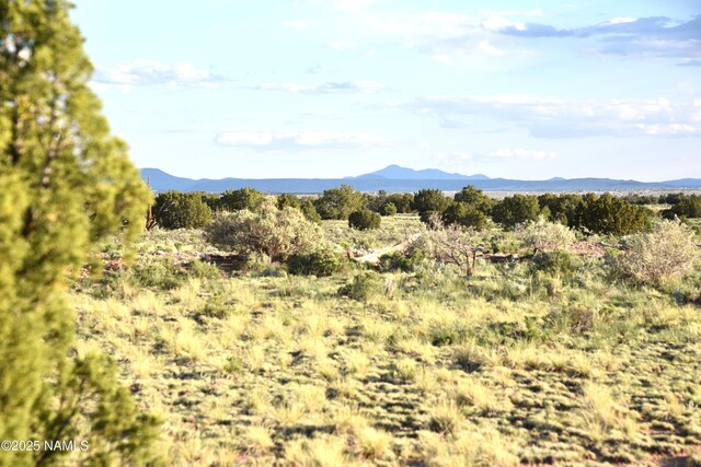 3391 E Indian Meadows Rd Unit 44, Williams, AZ 86046 - photo 16