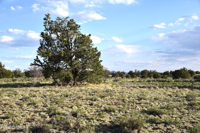 3391 E Indian Meadows Rd Unit 44, Williams, AZ 86046 - photo 11