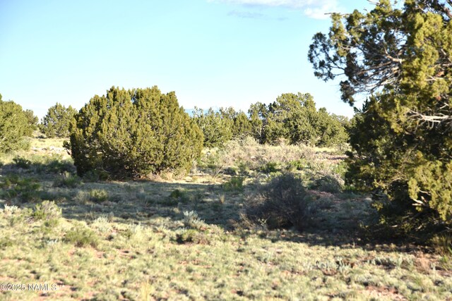 3391 E Indian Meadows Rd Unit 44, Williams, AZ 86046 - photo 15