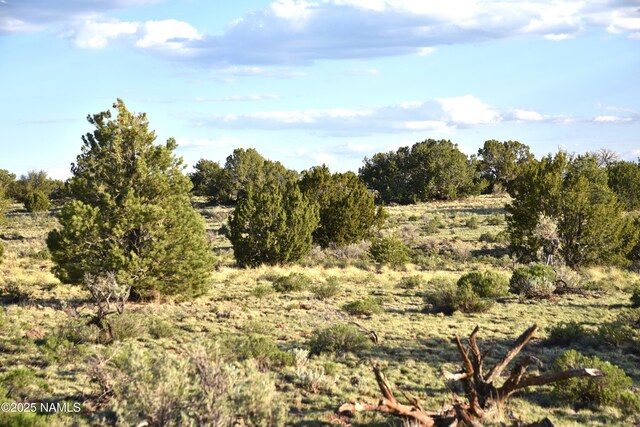 3391 E Indian Meadows Rd Unit 44, Williams, AZ 86046 - photo 13