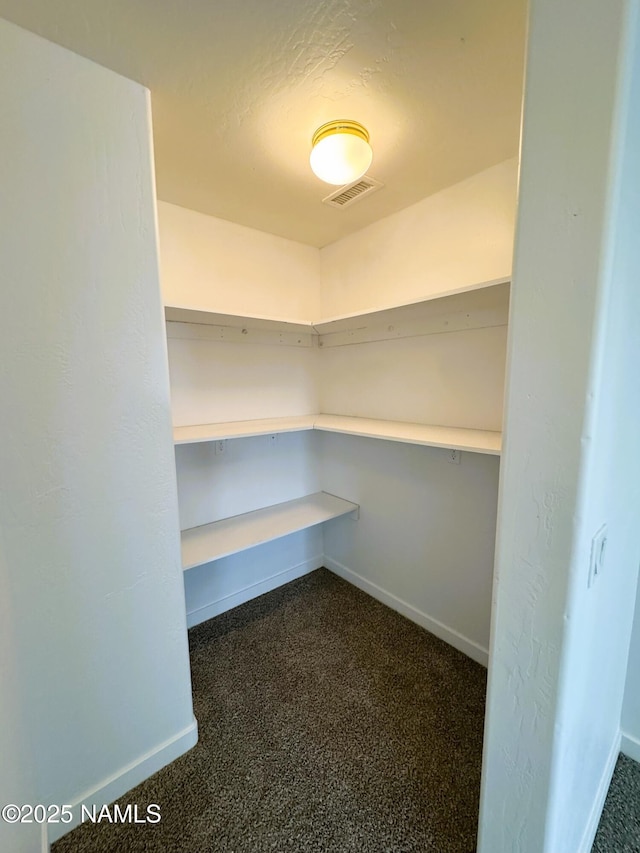 1807 N Main St, Flagstaff, AZ 86004 - spacious closet with visible vents and dark colored carpet