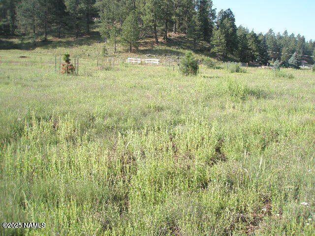3090 Happy Trails Dr, Flagstaff, AZ 86005 - photo 1