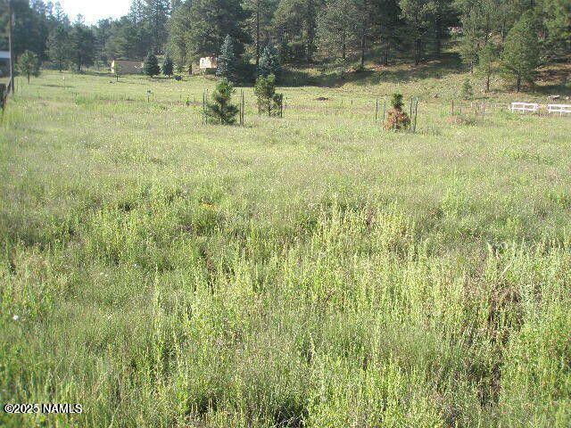 3090 Happy Trails Dr, Flagstaff, AZ 86005 - photo 3