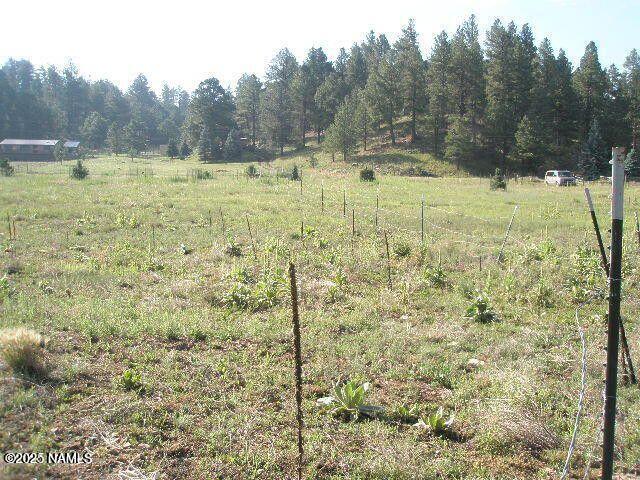 3090 Happy Trails Dr, Flagstaff, AZ 86005 - photo 9