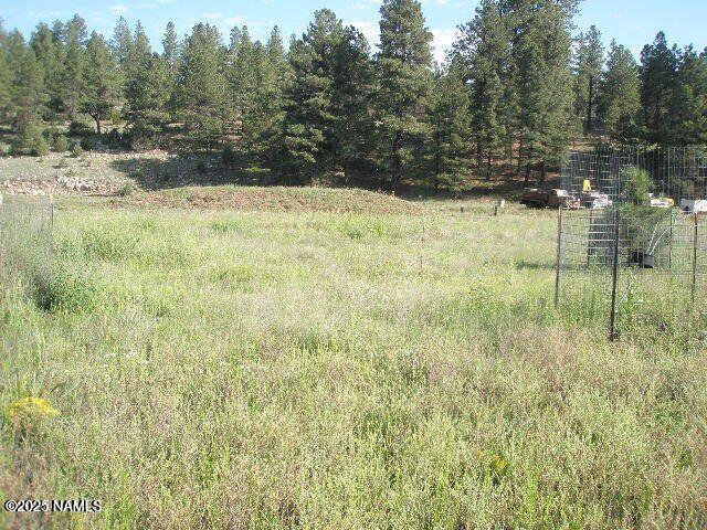 3090 Happy Trails Dr, Flagstaff, AZ 86005 - photo 5