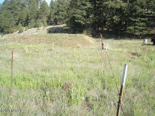 3090 Happy Trails Dr, Flagstaff, AZ 86005 - photo 4