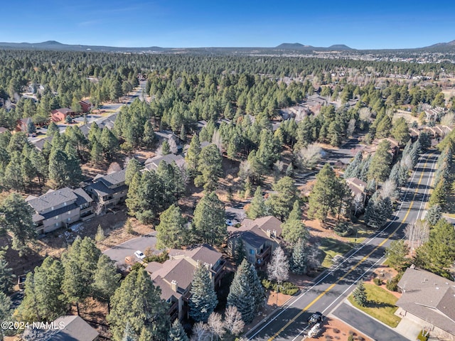 drone / aerial view featuring a mountain view