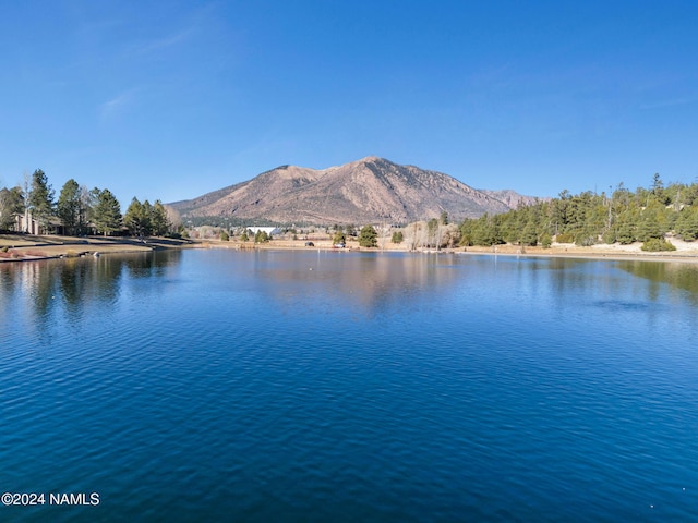 property view of water featuring a mountain view