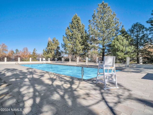 view of swimming pool with a patio