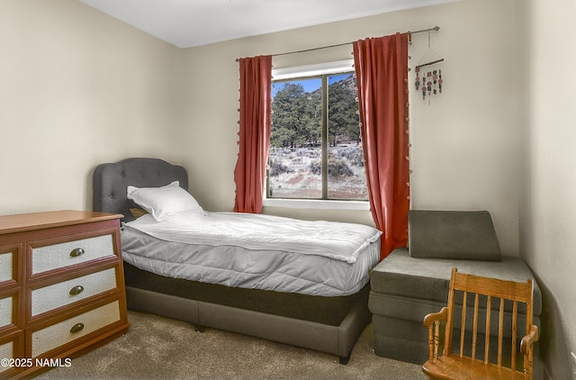 9654 Heritage Dr, Flagstaff, AZ 86004 - bedroom featuring carpet