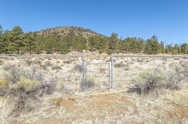 9654 Heritage Dr, Flagstaff, AZ 86004 - view of mountain backdrop with rural landscape