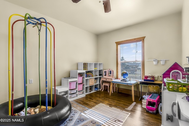 9654 Heritage Dr, Flagstaff, AZ 86004 - rec room with wood finished floors and a ceiling fan