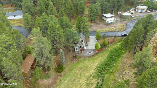 3135 Ancient Trl, Flagstaff, AZ 86005 - aerial overview of property's location