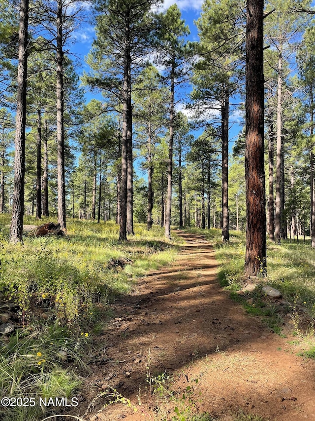 3135 Ancient Trl, Flagstaff, AZ 86005 - view of nature