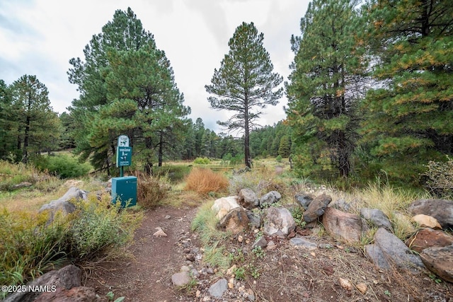 3135 Ancient Trl, Flagstaff, AZ 86005 - view of yard featuring a view of trees