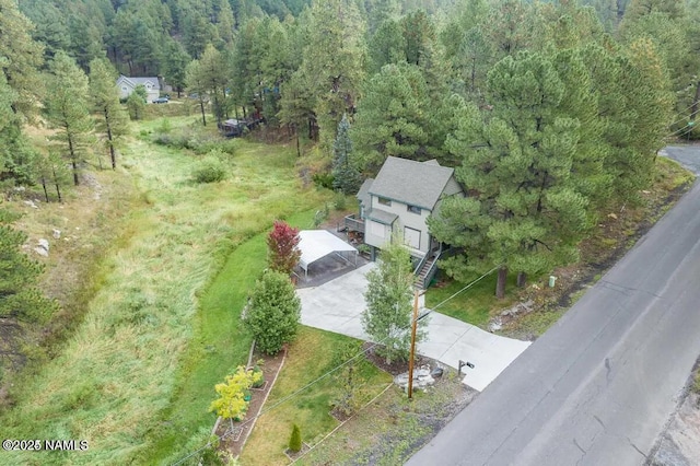 3135 Ancient Trl, Flagstaff, AZ 86005 - bird's eye view of a forest