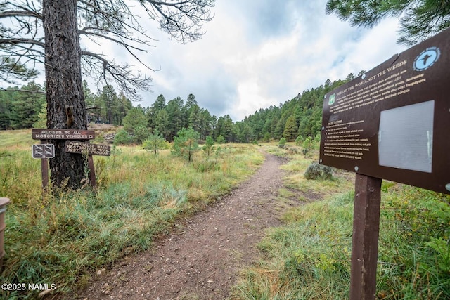 3135 Ancient Trl, Flagstaff, AZ 86005 - view of yard with a view of trees and driveway