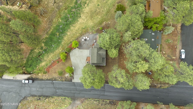 3135 Ancient Trl, Flagstaff, AZ 86005 - aerial view of property and surrounding area
