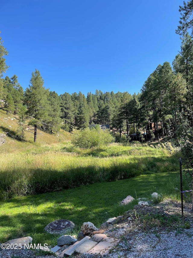 3135 Ancient Trl, Flagstaff, AZ 86005 - view of yard featuring a forest view