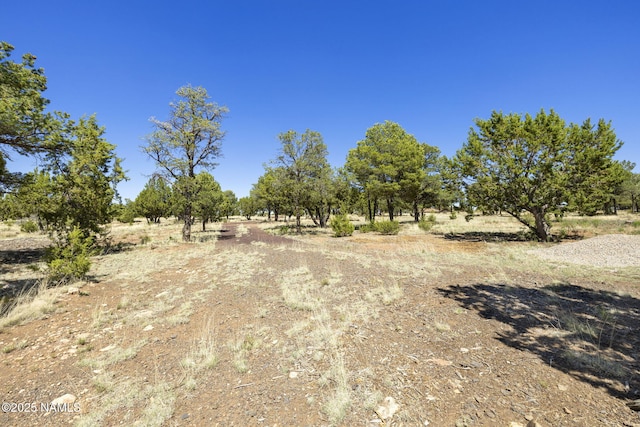 5858 N Cosnino Rd, Flagstaff, AZ 86004 - photo 4