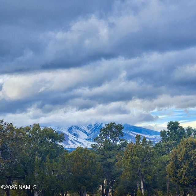 5858 N Cosnino Rd, Flagstaff, AZ 86004 - photo 5